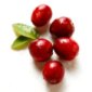 Cranberry Tea's Profile Picture