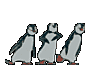 Penguinz21's Avatar