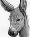 Honky Donk's Avatar