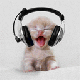 heh's Avatar