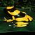 poison_arrow_frog's Avatar