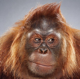 jkugelman's Avatar