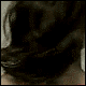 iNguyen90's Avatar