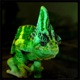 The Chameleon's Avatar