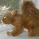 lonely_squirrel's Avatar