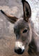 fishydonk88's Avatar