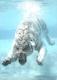 m_hood115's Avatar