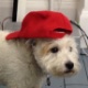 amh1121's Avatar