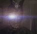 CalamityMarcus's Avatar