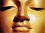 dan233's Avatar