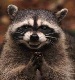 thnksfrplyin's Avatar