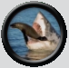 wtk300's Avatar