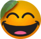 SmilingOrange's Avatar