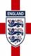 threelions's Avatar