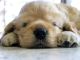 Tired's Avatar