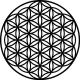 BRAYD3N's Avatar