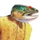 SalmonRushdieFTL's Avatar