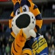 Mascot's Avatar