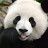 n0hvn4me's Avatar