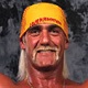 Terry "Hulk" Hogan's Avatar