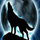 saberwolf13's Avatar