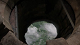 moondoor's Avatar