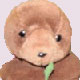 s33w33d's Avatar