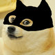 BatDoge's Avatar