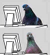 swissodds's Avatar