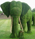 grass elephant's Avatar