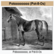 Potoooooooo's Avatar