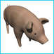 moosehog's Avatar