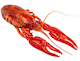 crawfurd's Avatar