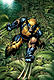 newplayer's Avatar