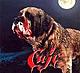 Cujo69's Avatar