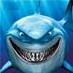 Sluffing Aces's Avatar
