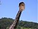 giraffeboy77's Avatar