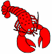 lobster's Avatar