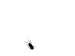 Rips's Avatar