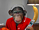 jedfurlong's Avatar