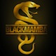 Black Mamba's Avatar