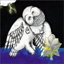 hcj57's Avatar