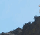 Latah Pines's Avatar