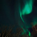 redarator's Avatar