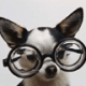 Paul B.'s Avatar
