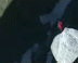 Bluffyou's Avatar