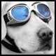 OOO's Avatar