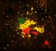 WhiskyCoke's Avatar