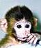 mazjr13's Avatar