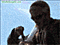 burns's Avatar